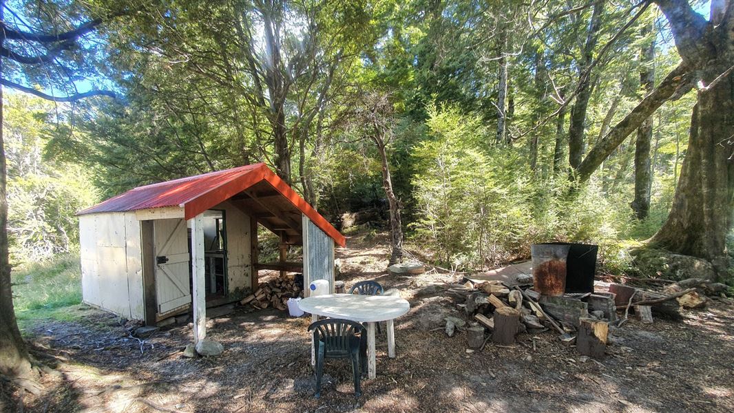 Hut building surrounded by trees