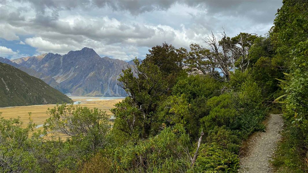 Walking track with view out to mountain range. 