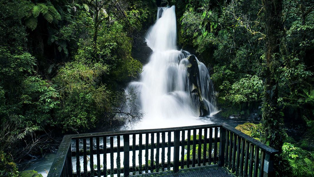 Waiatiu Falls Track.