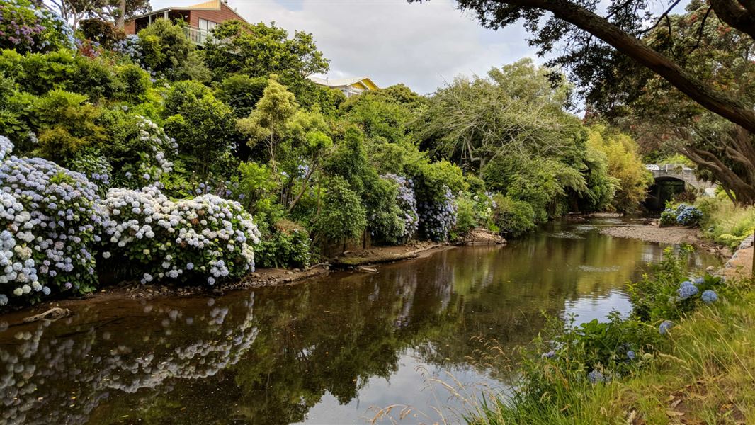 River in the New Plymouth area.