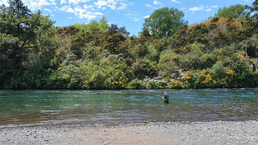 Angler in river fishing.