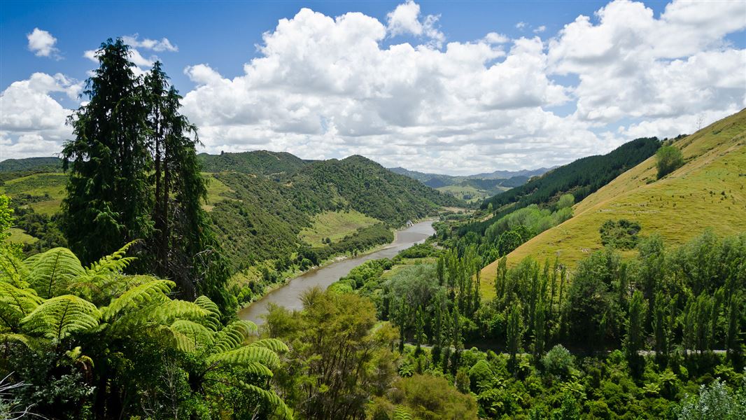 The Whanganui River. 