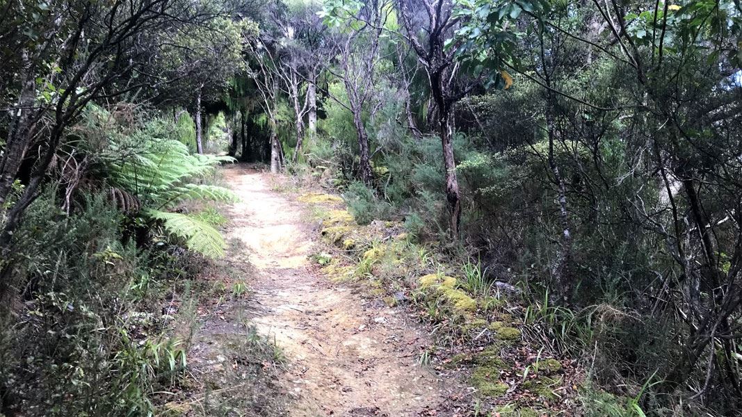 Middle Ridge Track. 