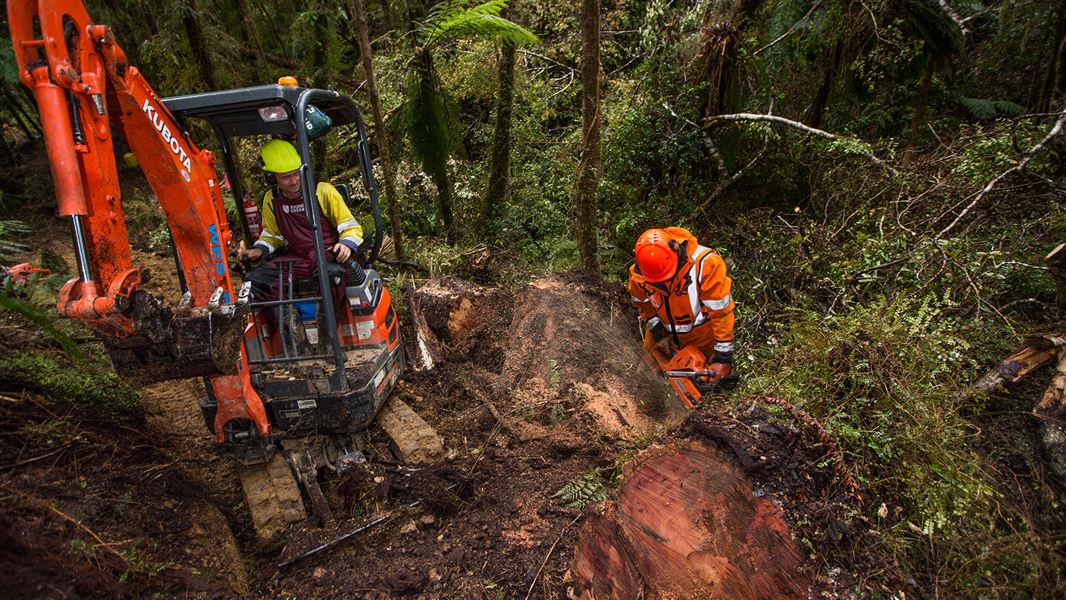 Person operating chainsaw next to person operating digger.