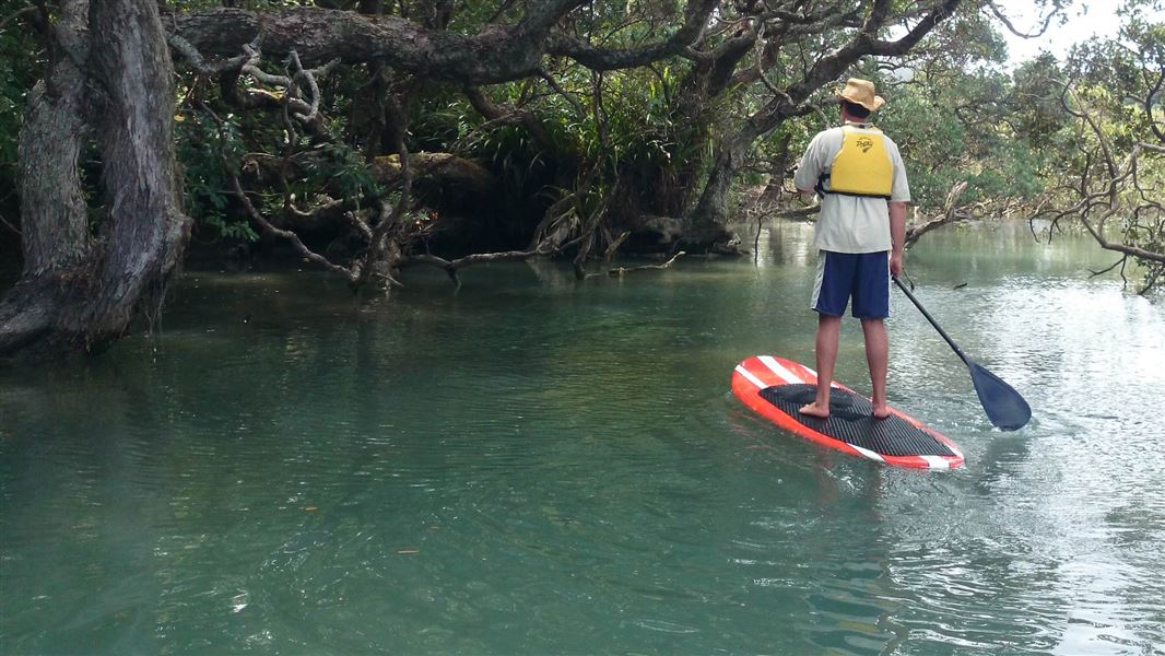 Paddle boarding in Te Matuku Marine Reserve. 