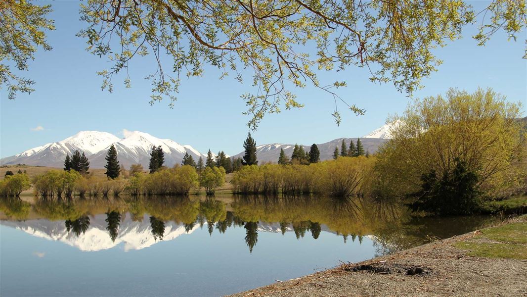 Flat lake with tree and mountain reflection.