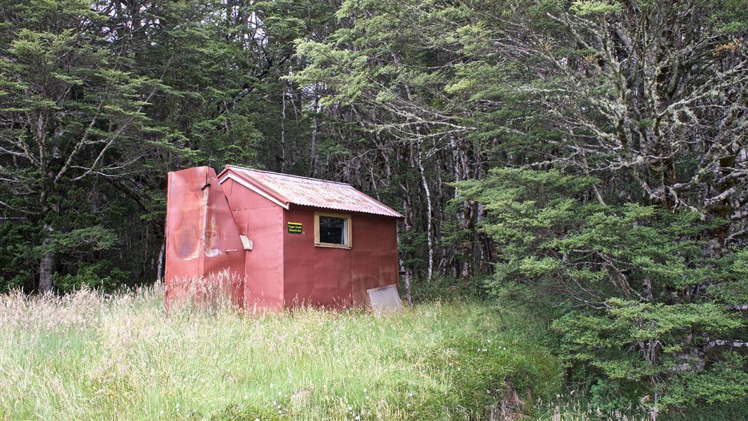 Red tin hut by tall trees.