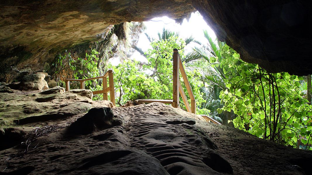 Punakaiki Cavern: Walking and tramping in Paparoa National Park