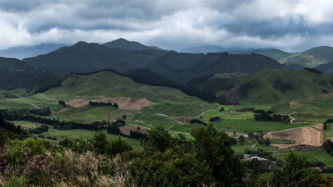 Rolling hills, viewed from Pukaha Mount Bruce Wildlife Centre. 