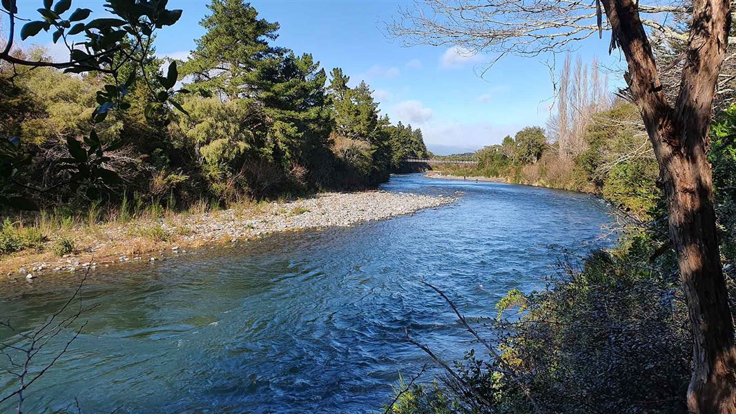 Sunny day on the Tongariro River.