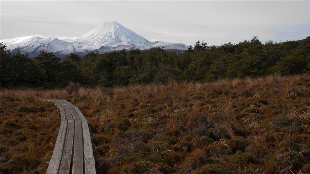 Mt Ngauruhoe. 