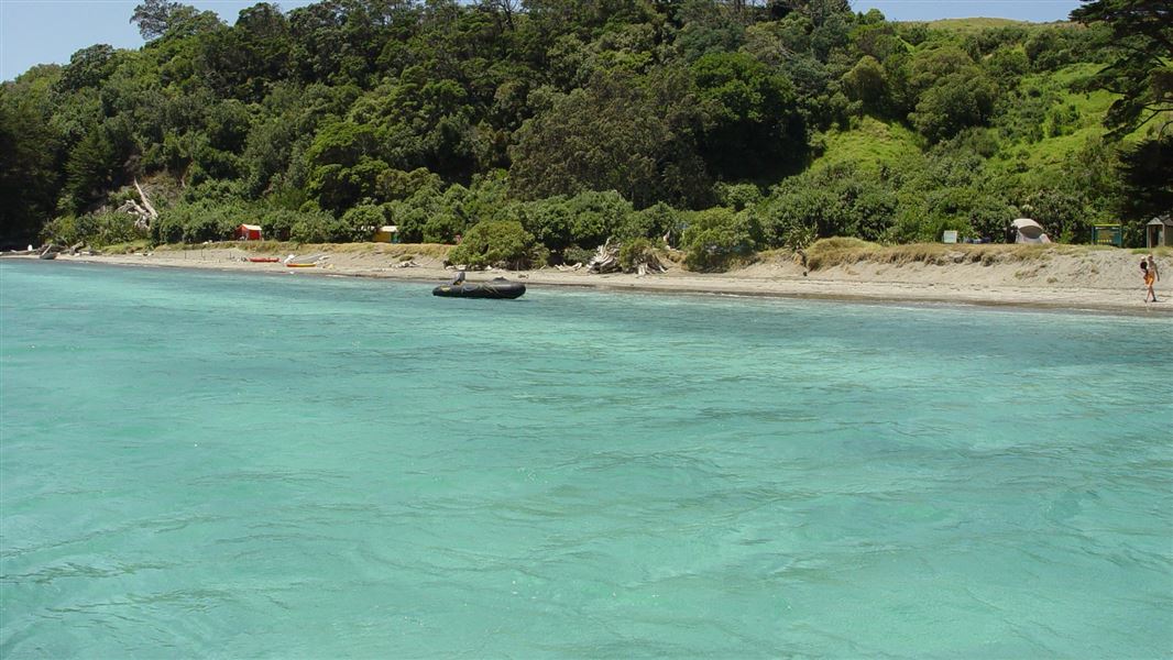 Motuora Island. 