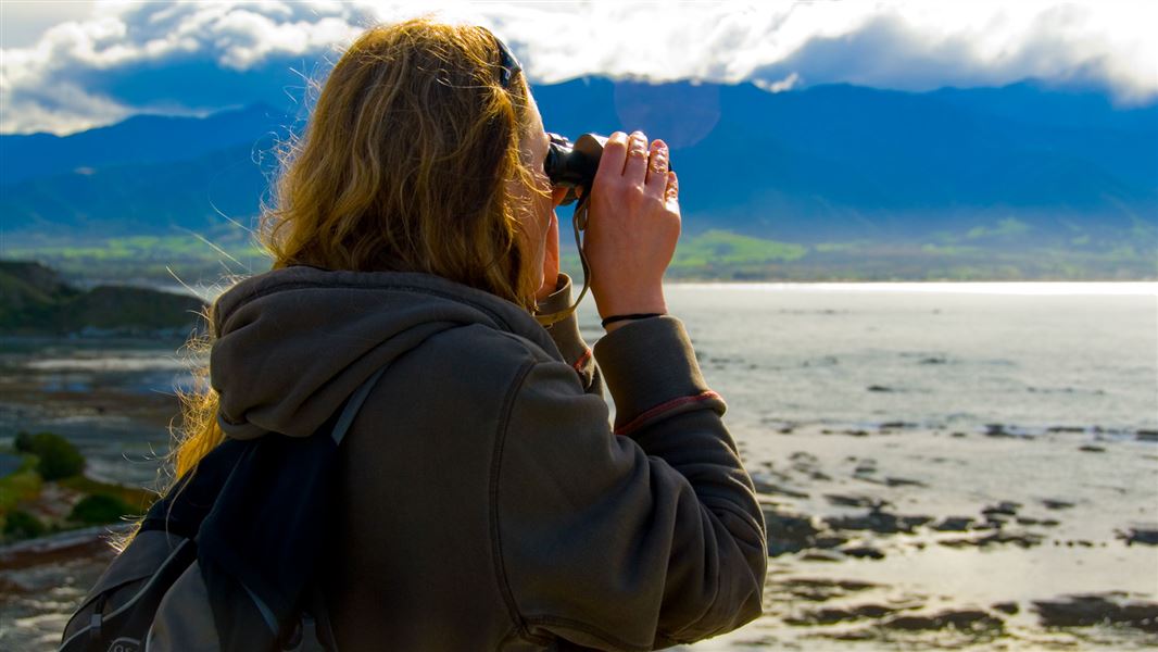 Woman looking through binoculars, South Bay, Canterbury