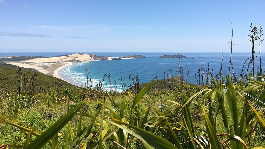 View from Cape Reinga. 