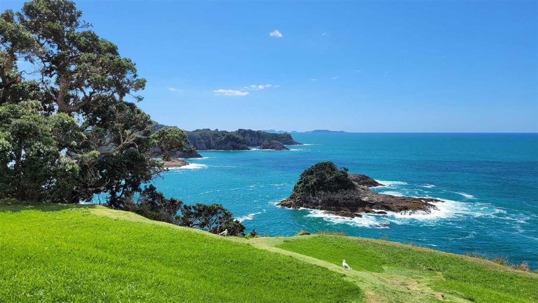 Hahei area Places to go in the Coromandel