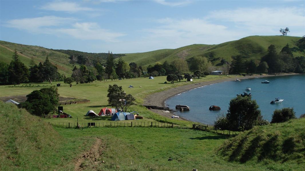 Motutapu camp ground. 