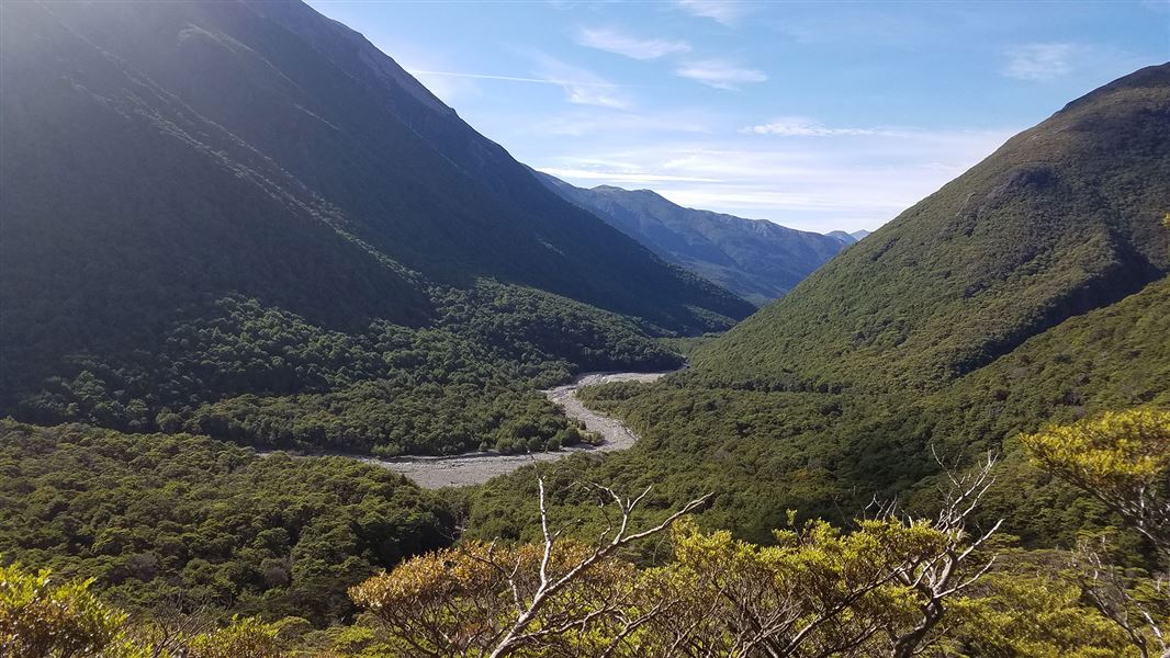 Tree covered valley with river.