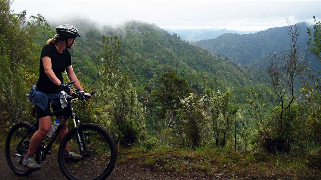 Mountain biking on the Opiti Road. 