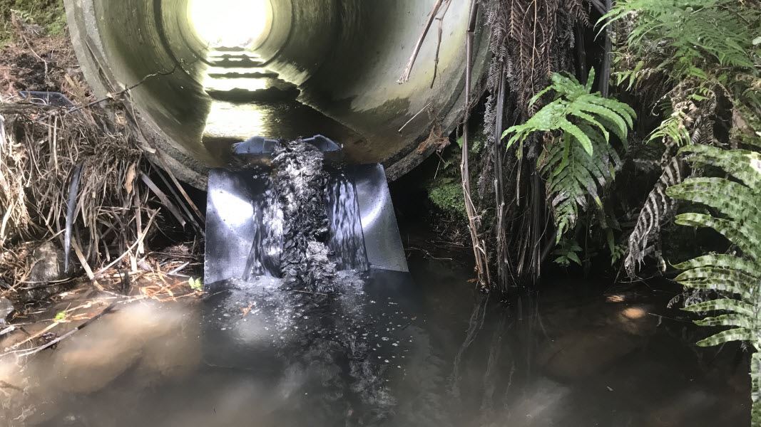 Waterway in the Uretara catchment. 