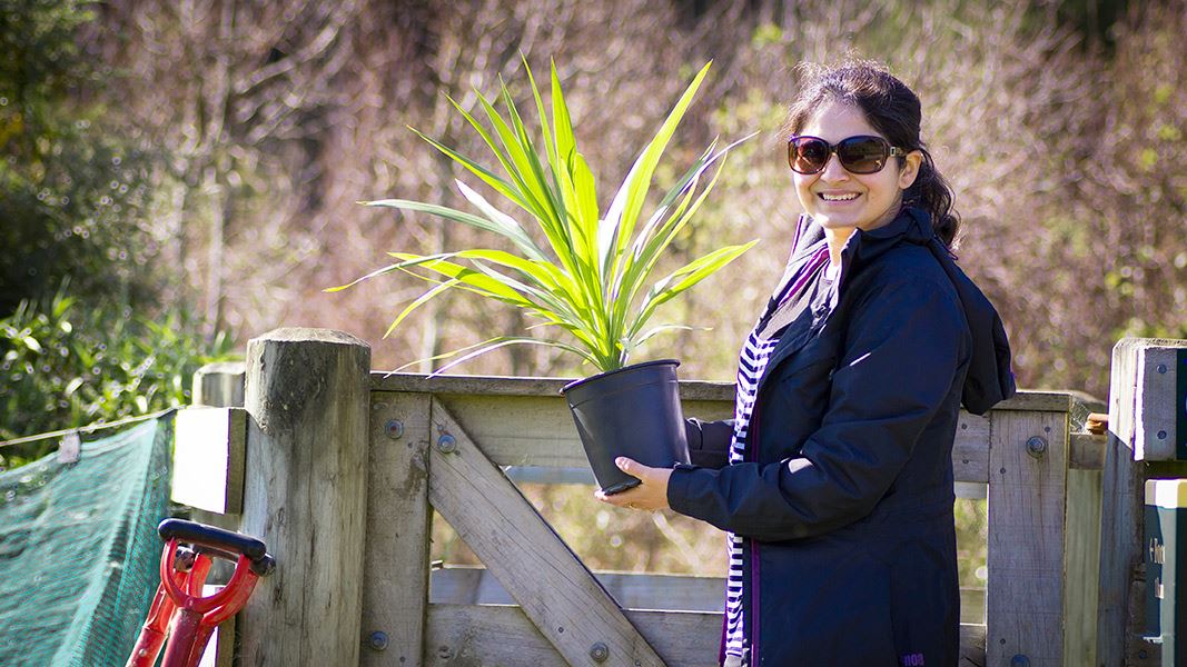 Person holding potted plant. 