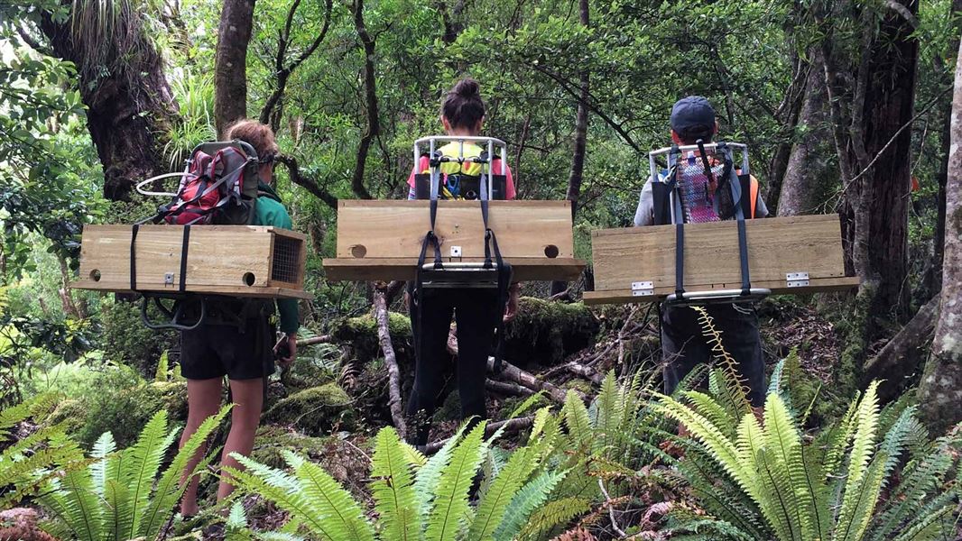 Three young people with traps. 