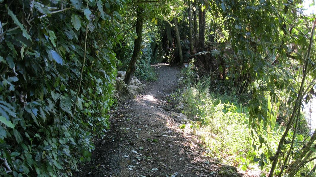 Waitomo Caves Carpark Walk.