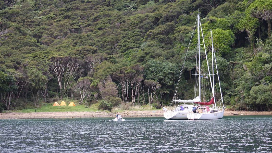 Schoolhouse Bay Campsite