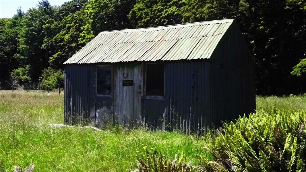 Camerons hut, Lake Sumner Forest Park.