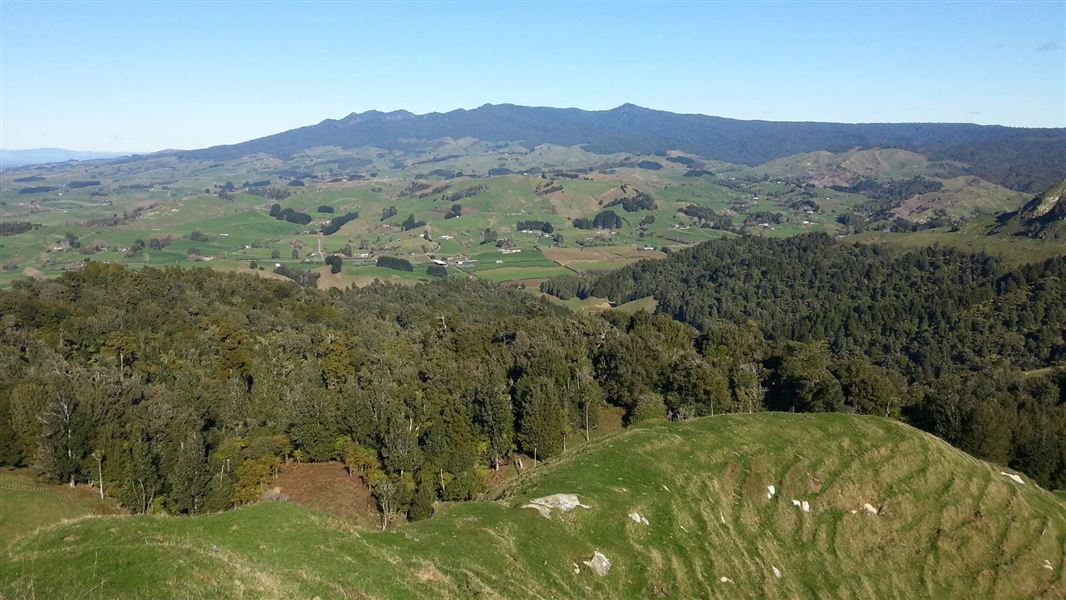 Mt Pirongia from Karamu Walkway.