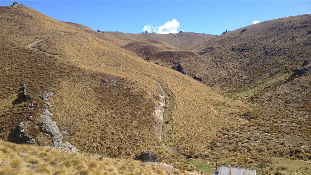 A track cuts it's way alongside a hill covered in long tussock. It extends upwards along the hill before it dissappears over the crest of the hill. Rolling hills can be seen in the distance.