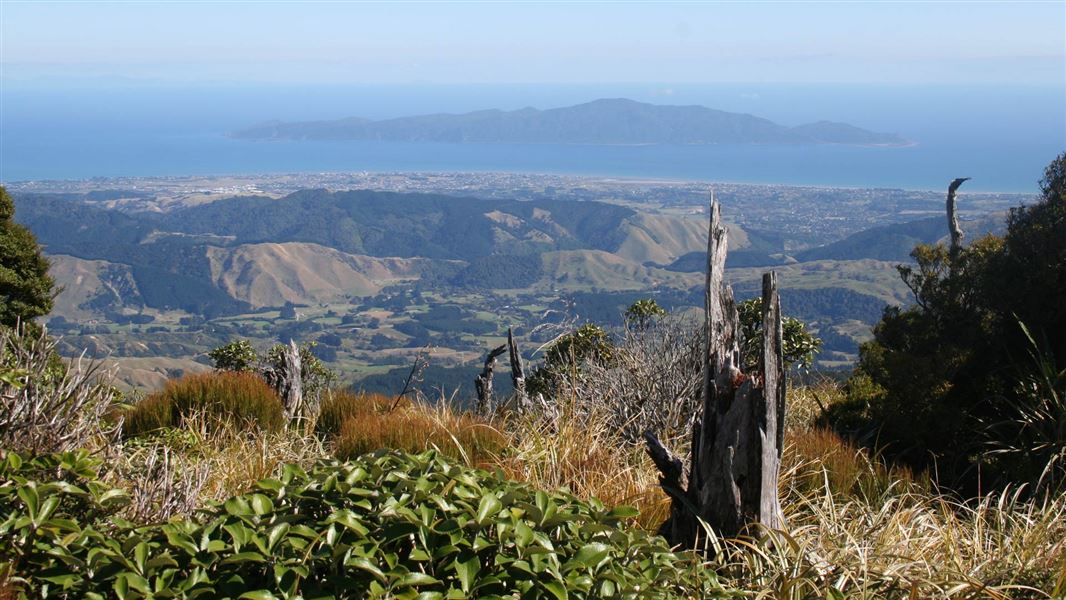 Hiker looking at Kapiti Island from mountain. 