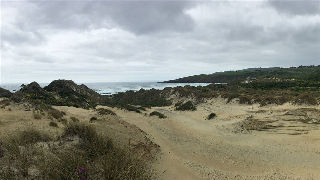 Sandymount to Sandfly Bay 