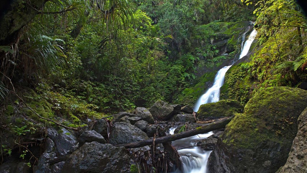 Waiotemarama Falls. 