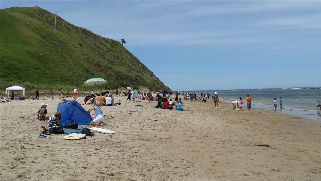 Beach at Te Tapuwae o Rongokako Marine Reserve. 