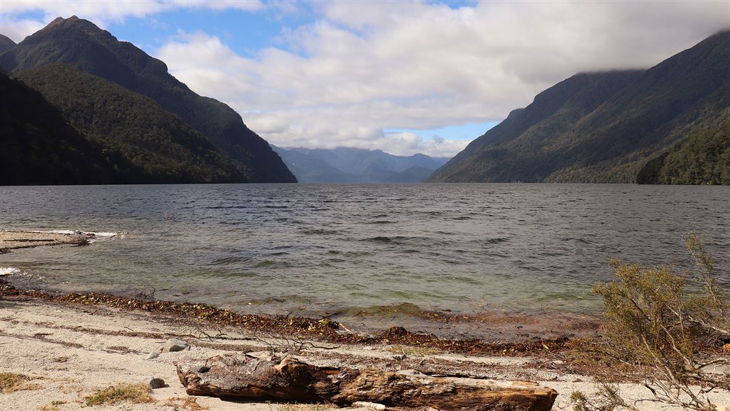 Lake shore with view of hills.