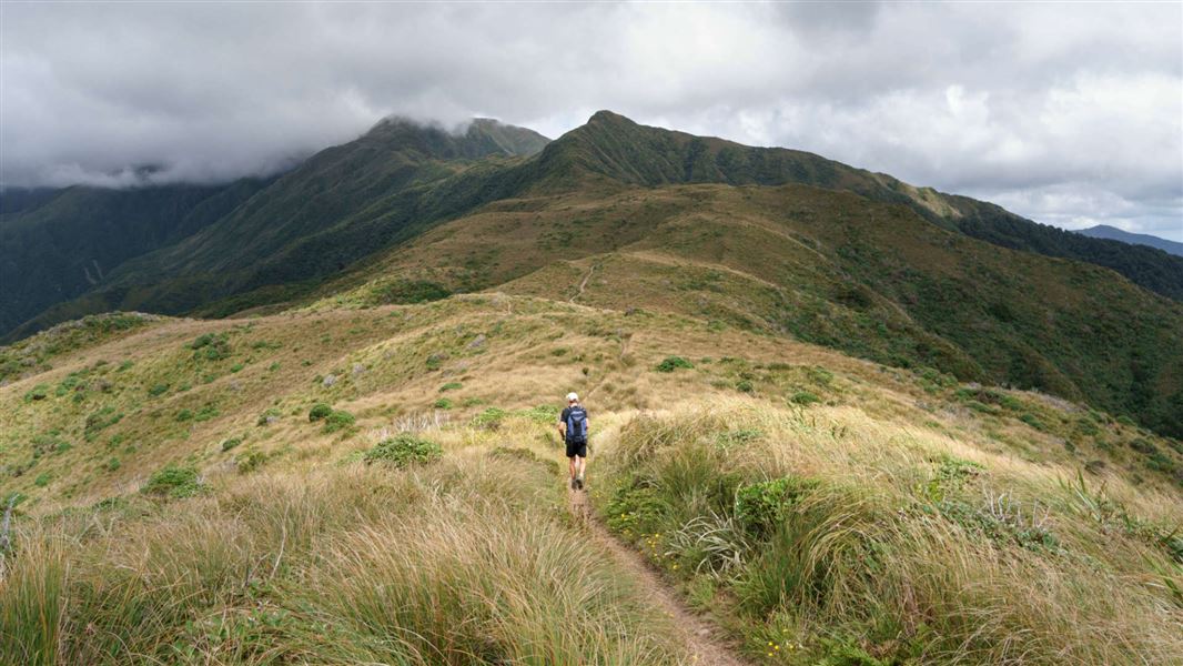 Field Hut & Table Top Track.