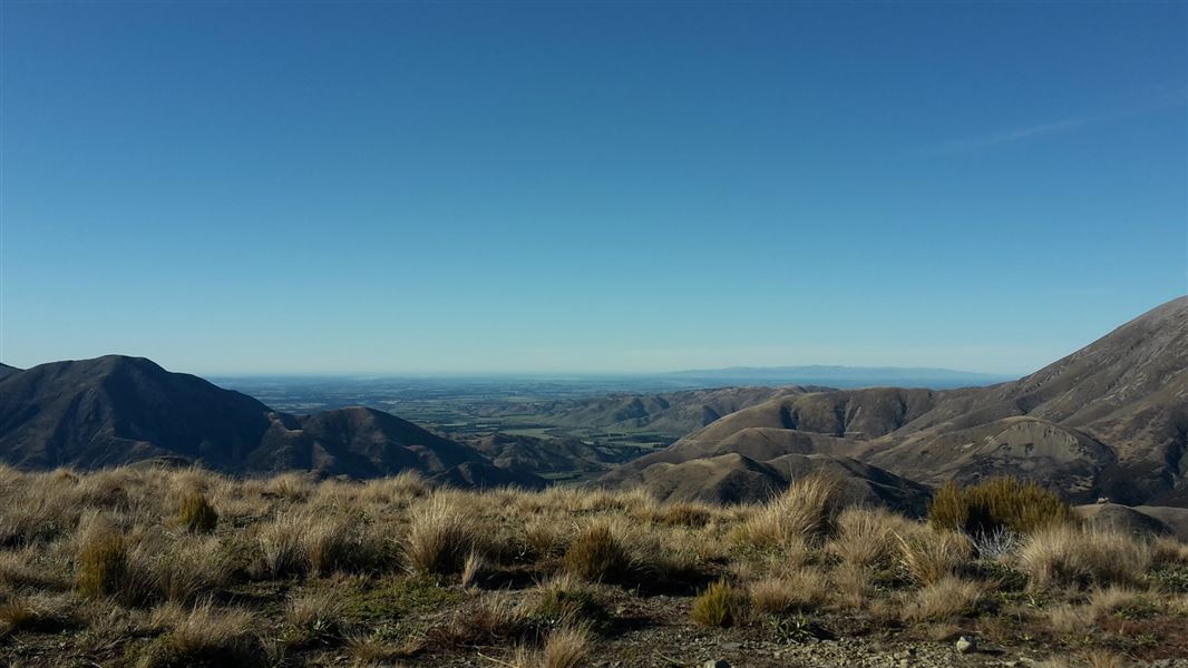 Trig point M.