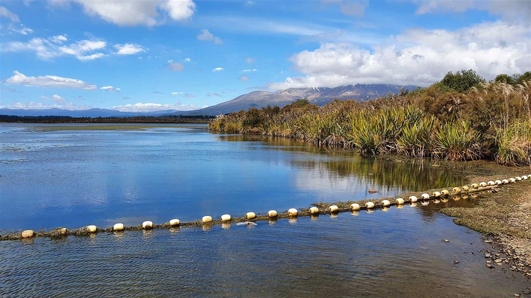 Lake Otamangakau. 