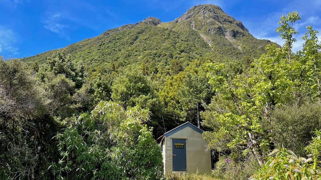 Small hut surrounded by bush with tall peak in the background. 