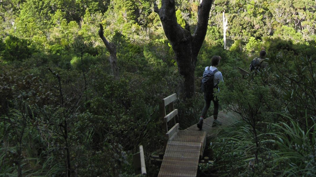 Trampers on South Fork Track. 