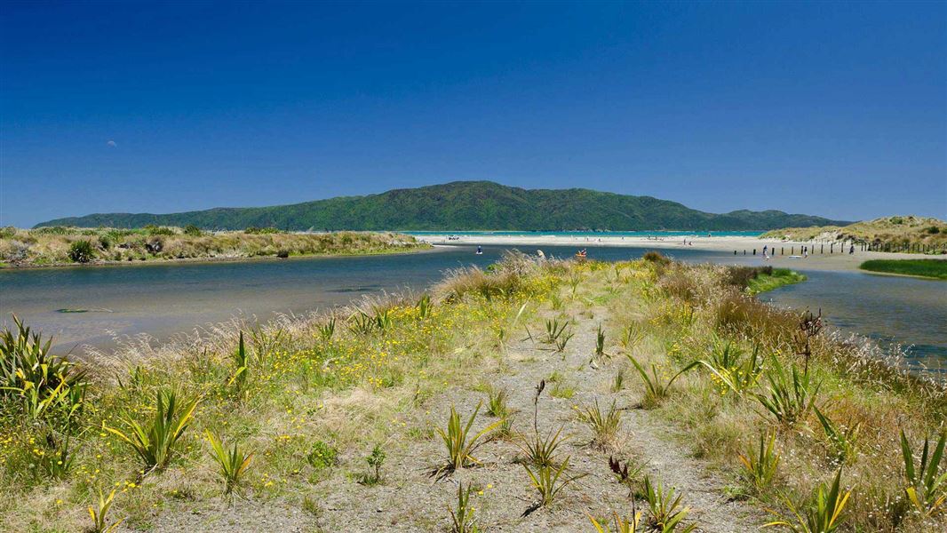 Waikanae Estuary. 