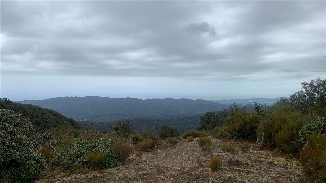 View from ridge.