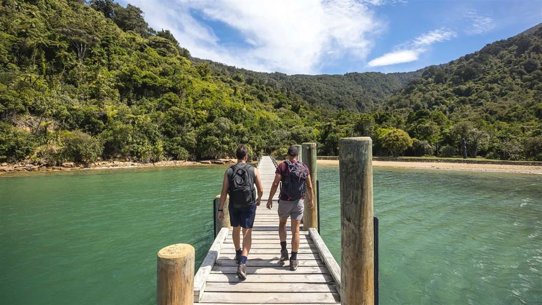 Two people walking down a wharf towards the bush.