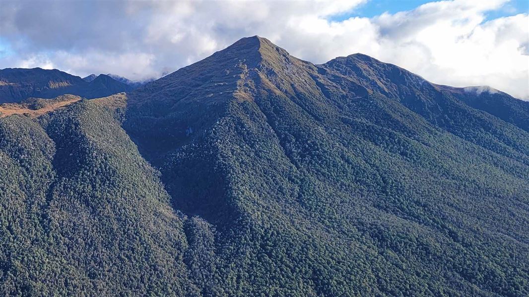 Mount Haast Route. 