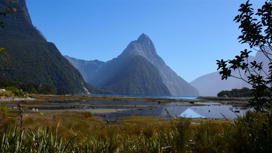 Sharp mountain peak with wetlands in the foreground.