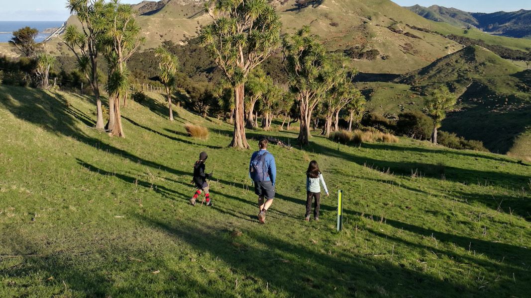 Family walking through farmland on Cooks Cove Walkway. 