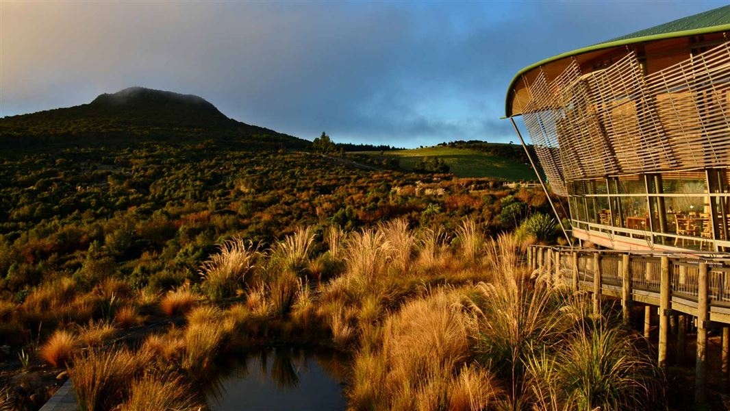 Orokonui Ecosanctuary. 