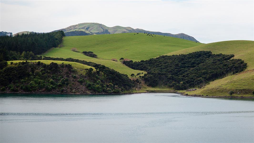 View across Te Puna Inlet. 