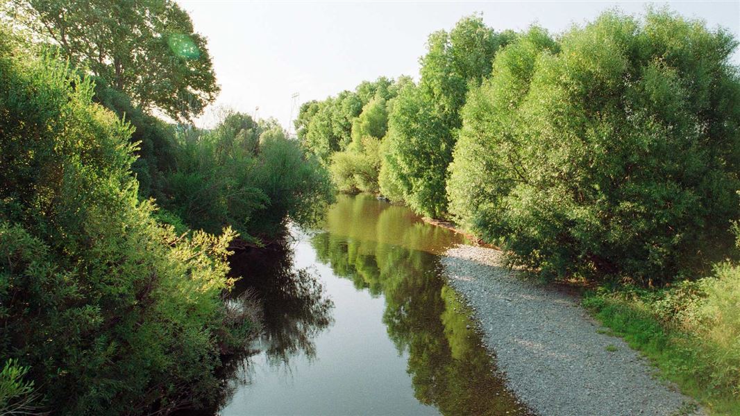 Ngā Awa river restoration programme: Our work