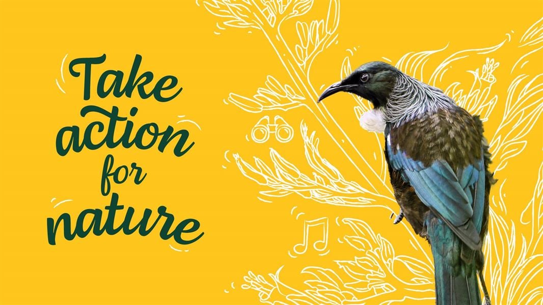 Conservation Week: Get involved